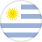 Liga AUF Uruguaya